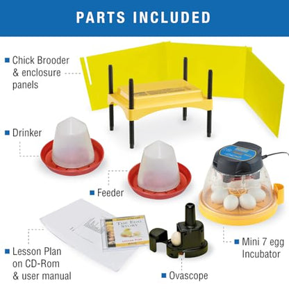 Brinsea Mini II Advance Complete Classroom Egg Hatching Incubation Kit - size: Classroom Kit, 7 Eggs