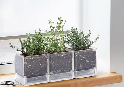 D'vine Dev Acrylic Herb Planter Pot, 4 in, Clear, 76-Y-D-1 - color: Clear, size: 4 Inch x 4.5 Inch