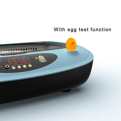 Automatic 12 Egg Incubator with US Plug, PP Material Digital Temperature Control, High Hatch Rate Egg Hatcher for Chicken, Duck and Quail Eggs