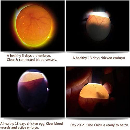 Egg Candler for Chicken Eggs, Rechargeable USB Egg Candling Light - color: Black