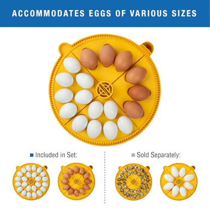 Brinsea Maxi 24 Advance Incubator with auto Turner for Hatching 24 Eggs - size: 24 Eggs