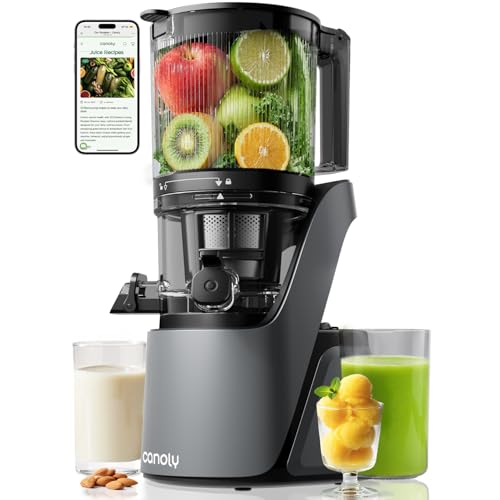 Canoly 3-in-1 Cold Press Juicer C16, Makes Juice & Sorbet & Nut Milk - color: Space Gray