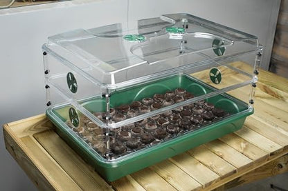 EarlyGrow 95457 24" x 15" x 16.75" Domed Propagator, Green, 3 Side Extenders and Locking Clip Set - size: 3 Side Extenders and Locking Clip Set