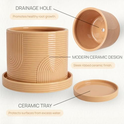 6 Inch Ceramic Plant Pot with Drainage Hole & Tray – Buttercream - color: Buttercream