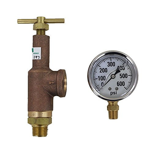 TeeJet 6815-3/4-HSS-700 Brass Pressure Regulator with 600 PSI Pressure Gauge (Bundle, 2 Items)