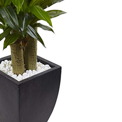 Unknown1 5.5-Foot Corn Stalk with Black Planter