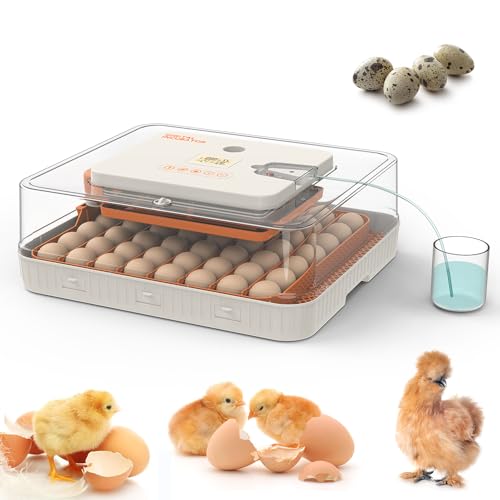 HOWOOlUA 56 Egg Incubator for Hatching Eggs with Auto Turn, Temp & Humidity Control, Built-in Candler Large Capacity Egg Incubator for Chicken Duck Goose Eggs - size: 56-EGGS