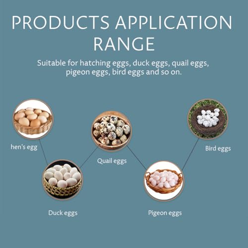 Egg Incubator, 56 Eggs Automatic Turning Tray for Chicken Duck Quail