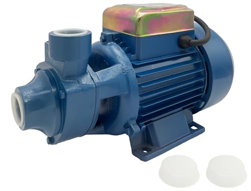 Water Transfer Pump,110V Electric Water Pump,Shallow Well Pump,Centrifugal Clean Water Pump For Pond Water Transfer Pressure Tank Water Filling, Irrigation,Water Supply (1 HP Water Booster Pump) - style: 1 HP Water Booster Pump