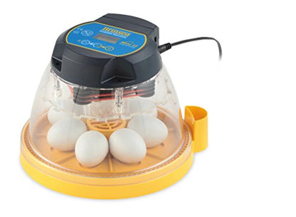 Brinsea Mini II Advance Incubator with Automatic Turner for Hatching 7 Eggs - size: 7 Eggs