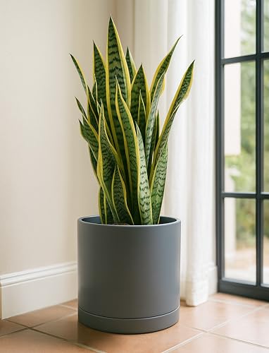 D'vine Dev 12 Inch Ceramic Planter Pot, Grey, 94-O-F-3 - color: Gray, size: X-Large