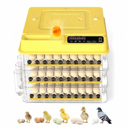 216 Egg Incubator for Hatching Eggs with Auto Turner, Temp Control, Candler - color: 216 Egg