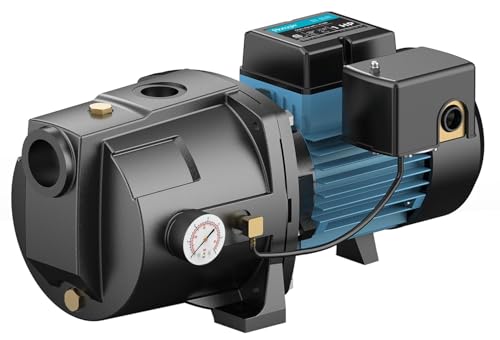 LEO Shallow/Deep Well Jet Pump - size: Non-convertible