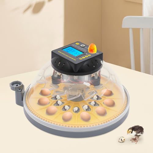 Chicken Egg Incubator 12 Eggs, Automatic Digital Hatcher, Poultry Hatching Machine, 5 Preset Modes, Auto Turner, Temperature & Humidity Control, for Chicken, Duck, Goose, Bird - size: 12 Eggs