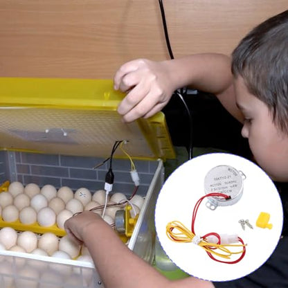 Joyzan Egg Turner Motor, AC Chicken Rotator Incubator Small Hatching Tool