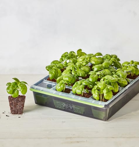 Burpee SuperSeed 16 XL Cell Reusable Seed Starting Tray for Seedlings - size: 16 Cells