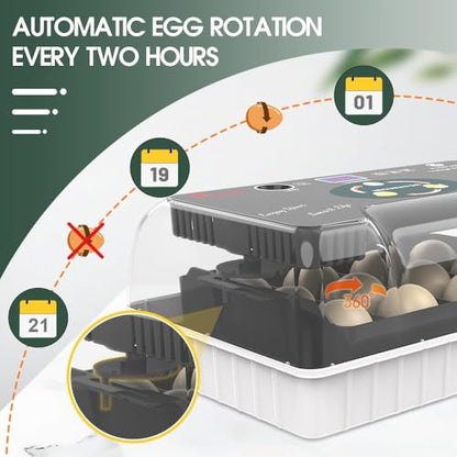 12 Egg Incubator - Automatic Egg Turner, Temperature Control, Built-in Candler, Auto Water Refill for Hatching Chicken, Duck, Quail & Bird Eggs - size: 12-EGGS