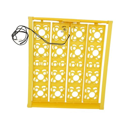 Egg Incubator Tray, Multifunction Automatic Egg Turner Incubator Tray Eggs Automatic Egg Turner Turning Tray for 16 Duck Eggs 16 Eggs 72 Quail Eggs Incubation (AC12V) - size: AC12V