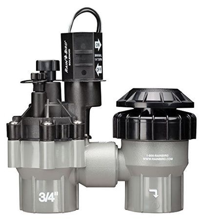 Rain Bird DASASVF075 Professional Anti-Siphon Valve, 3/4" - size: 0.75 Inch