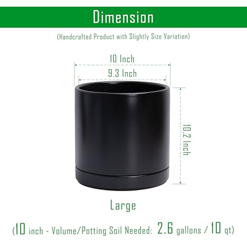 D'vine Dev 10 Inch Ceramic Planter Pot, Black, 94-O-E-2 - color: Black, size: Large