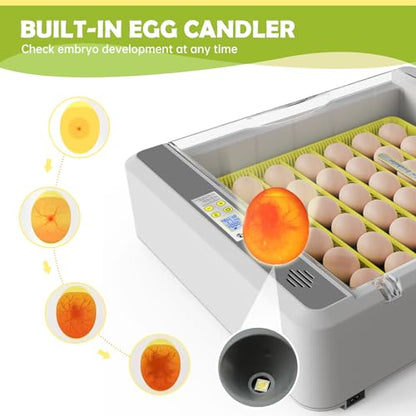 Egg Incubator for Hatching Chick, 36 Eggs Automatic Temp & Humidity Control - color: SXY-Eg36
