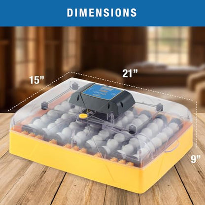 Brinsea Ovation 56 Advance Egg Incubator, Auto Turning & Humidity Display - size: 56 Eggs