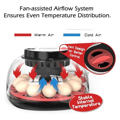 Incubators for Hatching Eggs Automatic Egg Incubator with Temperature Control Humidity Display 12 Egg Capacity for Chicken Duck Goose Eggs Digital Display Auto Turner 360° View - size: 24-quail eggs