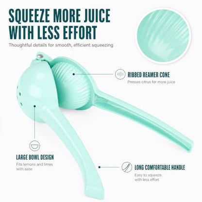 Manual Juicer Citrus Lemon Squeezer, Fruit Juicer Lime Press Metal, Professional Hand Juicer Kitchen Tool - color: Seafoam