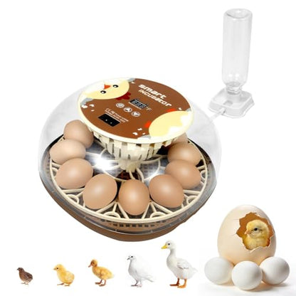 Series I-Automatic 12-Egg Incubator for Beginners, Auto Egg Turn, Steady Self-Regulating Humidity & Consistent Temperature Control for Hatching Chicken, Goose, Duck, Quail, Pigeon(12-Egg-Brown) - size: 12-Egg-Brown