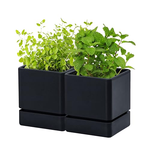 D'vine Dev 2-Pack Plastic Herb Planter Pots, 4 in, Black, 76-Y-B2-1 - color: Black, size: 8 Inch x 4.5 Inch
