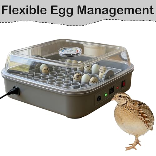 Custom Quail Egg Turner Tray Compatible with Maticoopx 20 Egg Incubator - color: M30