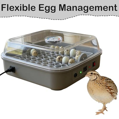 Custom Quail Egg Turner Tray Compatible with Maticoopx 20 Egg Incubator - color: M30