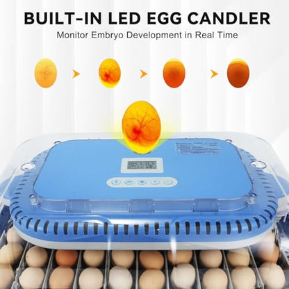 Series IV - 70 Egg Incubator for Breeders, Sensor-Based Precise Humidity + Temp Control, Chick Separator, Adjustable Egg Spacing, Custom-Interval Auto Turn + Auto Stop, Preset Incubation Days