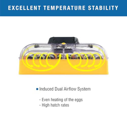 Brinsea Ovation 56 Advance Egg Incubator, Auto Turning & Humidity Display - size: 56 Eggs