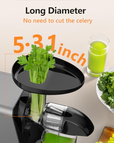 Cold Press Masticating Juicer 250W Slow Extractor for Whole Celery & Carort - color: Sliver