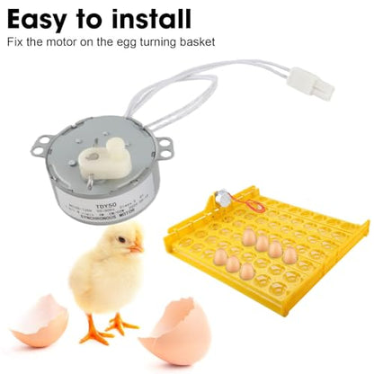 Egg Tray Turning Motor, Electric Synchron Motor Replacement Egg Turner Motor, Automatic Egg Turning Tray Tool Incubator Accessories for Incubating Chicken, Duck and Quail Egg