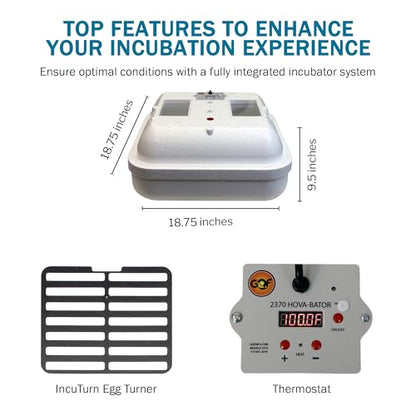HovaBator 2370 Deluxe Automatic Egg Incubator Kit, Automatic Egg Turner - size: No Additional Tray, style: No Auto Humidity System