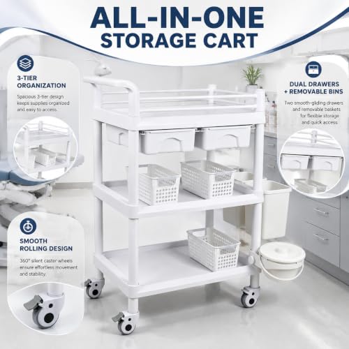 3 Tier Storage Cart with Dual Drawers, ABS Bins and PU Casters