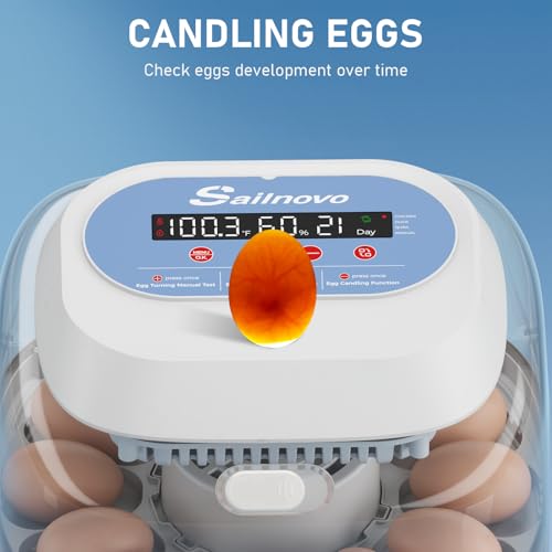 Sailnovo 12 Eggs Incubator, 4 Modes, Temp Control & Humidity Display, Blue - color: Blue, size: 12 Eggs