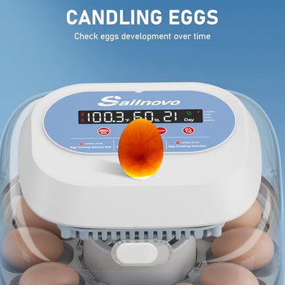 Sailnovo 12 Eggs Incubator, 4 Modes, Temp Control & Humidity Display, Blue - color: Blue, size: 12 Eggs