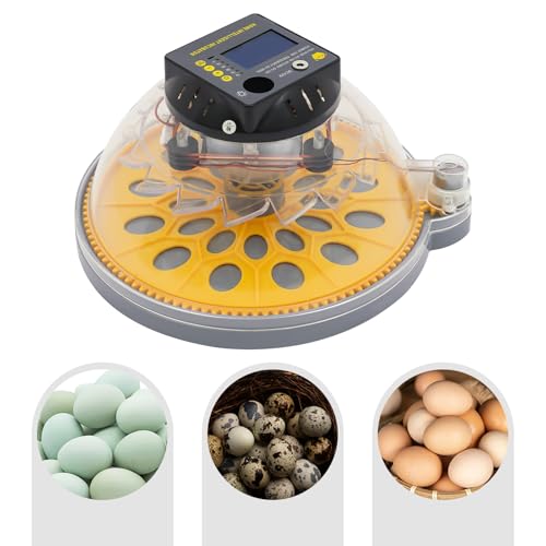 Chicken Egg Incubator 12 Eggs, Automatic Digital Hatcher, Poultry Hatching Machine, 5 Preset Modes, Auto Turner, Temperature & Humidity Control, for Chicken, Duck, Goose, Bird - size: 12 Eggs