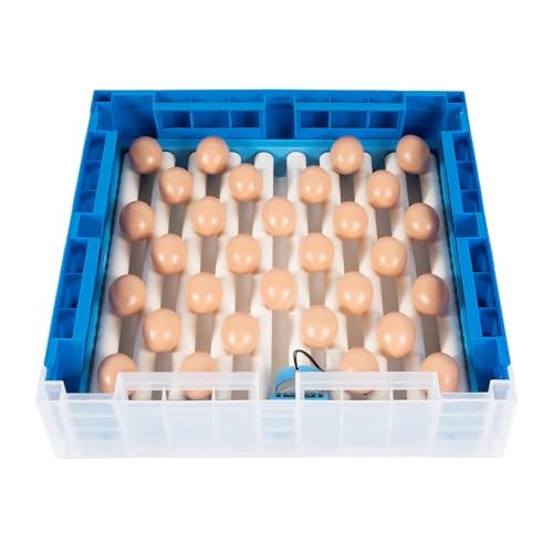Egg Hatching Incubator 64 Eggs Automatic Egg Incubator Fully Automatic Digital Poultry Brooding Machine, Temperature Humidity Control & Automatic Egg Turner, for Chicken, Ducks, Birds & More - size: 64 egss