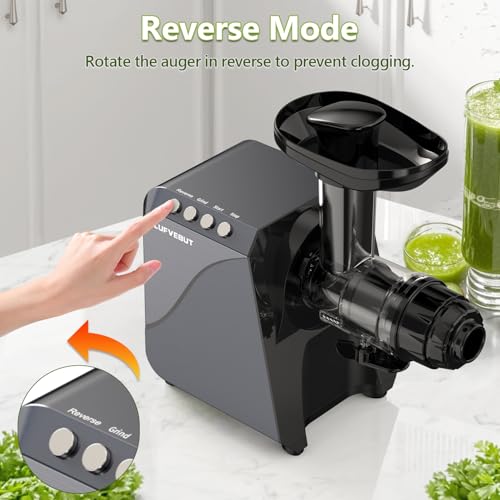 Cold Press Slow Juicer with Electric Coffee Grinder for Ginger - color: Meteorite Grey