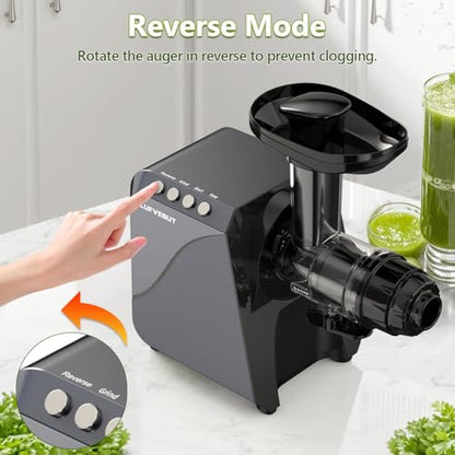 Cold Press Slow Juicer with Electric Coffee Grinder for Ginger - color: Meteorite Grey