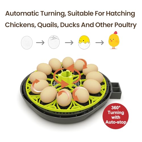 Incubators for Hatching Eggs 12 Egg Incubator with Automatic Egg Turning and Humidity Control,Egg Candler,Auto Water Replenishment,for Chicken Eggs and Quail Egg M12H