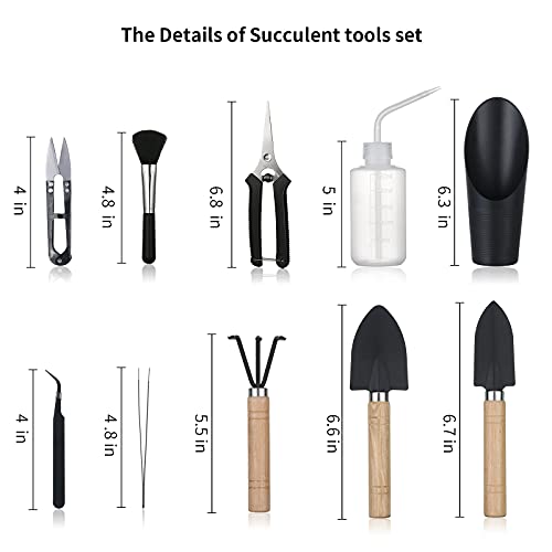 11Pcs Succulent Tools, Mini Garden Tools, Plant Repotting Set(No Flowerpot) - style: Abundant Garden Tools