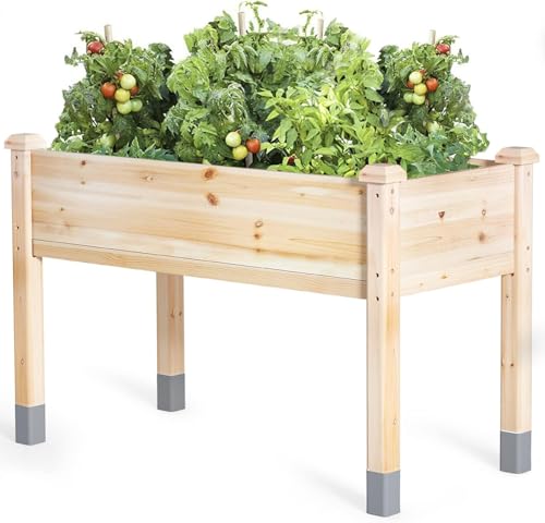 MIXC 331lb Capacity Sturdy Wooden Raised Garden Bed Outdoors with Legs - size: 48''L * 24''W