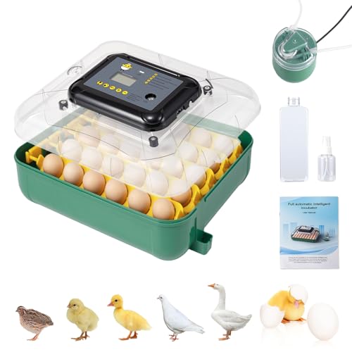 Egg Incubators for Hatching 30 Eggs with Temperature Humidity Control,Green - color: grass green