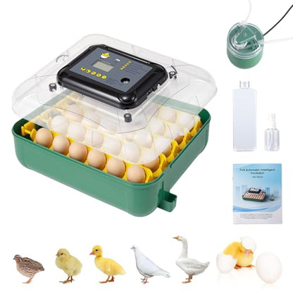 Egg Incubators for Hatching 30 Eggs with Temperature Humidity Control,Green - color: grass green