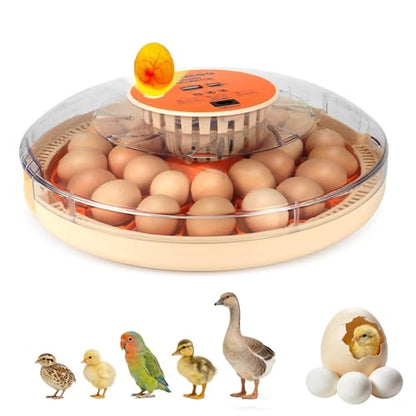 Nest II - 30 Egg Incubator for Large-Batch Hatchers, Hands-On Control, Auto Egg Turning, Manual Water Fill, Consistent Temp, Real-Time Display, Candler for Chicken, Goose, Duck, Quail, Pigeon, Turkey - size: 30 Egg [Orange]